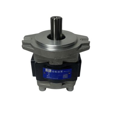 Forklift Parts Gear Pump CBHZA-F25-AF GR501-601300-000 for CPCD50-70 Retail Appliance